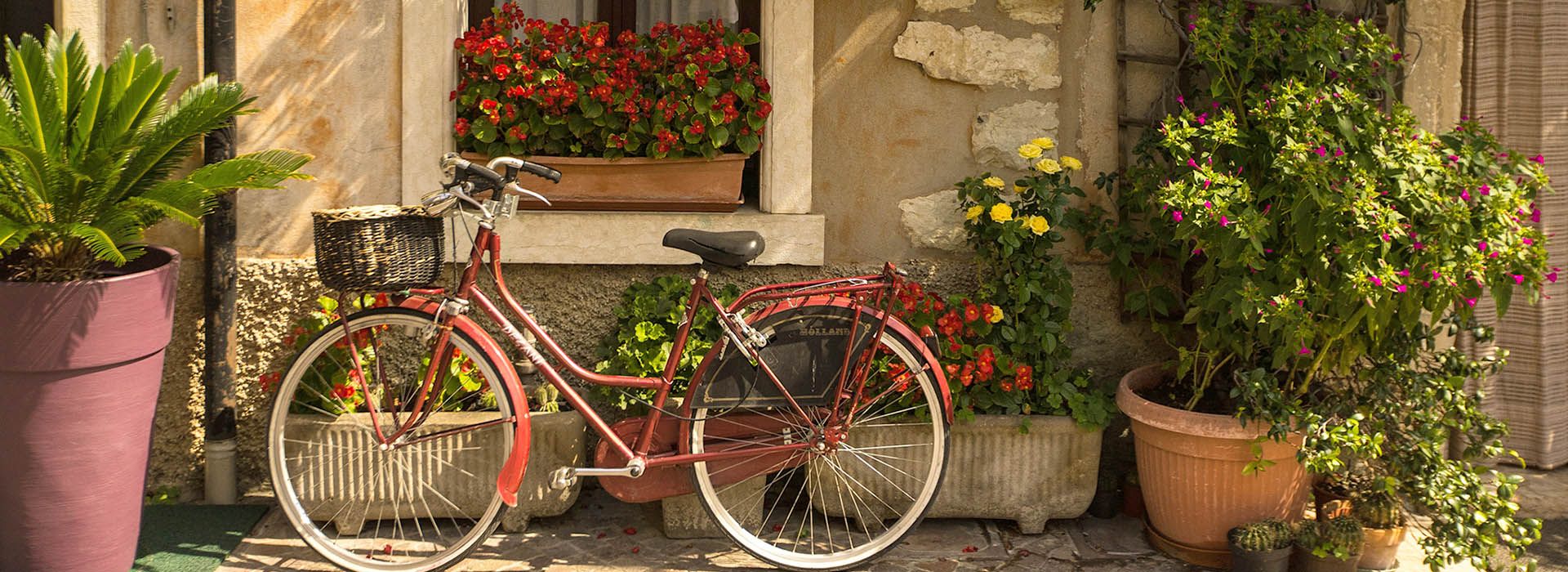 ABOUT THE BOMA GARDEN CENTRE