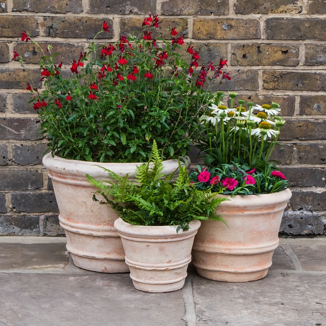 Aged Terracotta Coni Planter (D24cm x H20cm) Handmade Outdoor Plant Pot - image 2