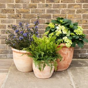 Aged Terracotta Egg Lip Planter (D40cm x H30cm) Handmade Outdoor Plant Pot - image 2