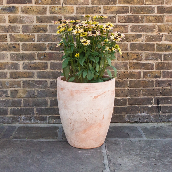 Aged Terracotta Handmade Egg High Planter (D42cm x H51cm) Outdoor Plant Pot - image 3