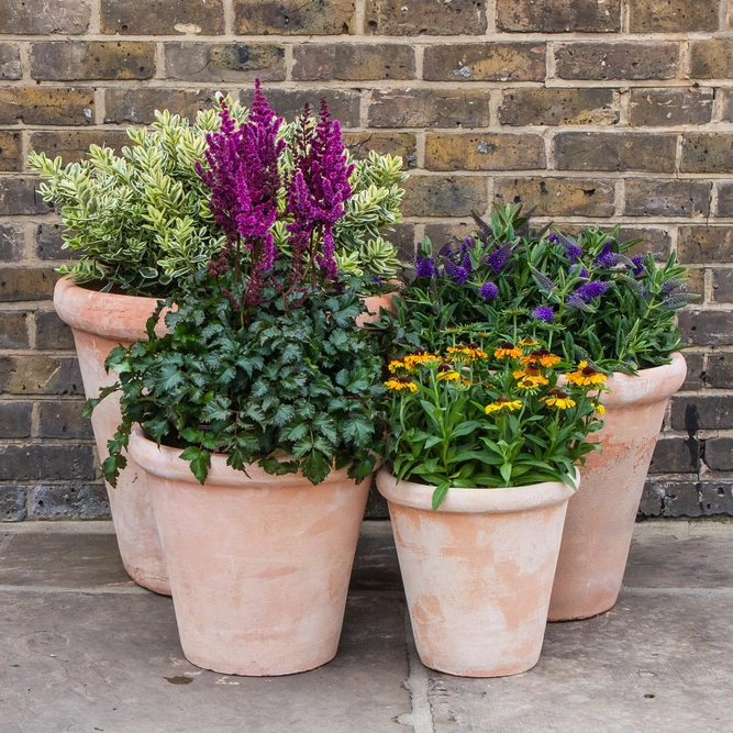 Aged Terracotta Lip Planter (D47cm x H41cm) Handmade Outdoor Pot Plant - image 3