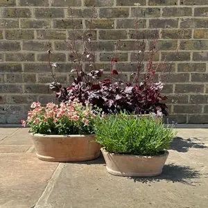 Alice Patina (W40XH14XD22.5cm) Outdoor Oval Trough Planter Plant Pot - image 2