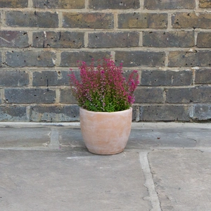 Antique Sand Handmade Egg Stone Planter (D20cm x H17cm) Terracotta Outdoor Plant Pot - image 3