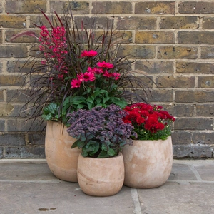 Antique Sand Boolay Stone Planter (D20cm x H19cm) Outdoor Plant Pot - image 2