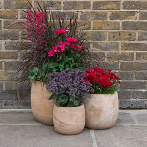 Antique Sand Boolay Stone Tall Planter (D23cm x H20cm) Outdoor Plant Pot - image 2