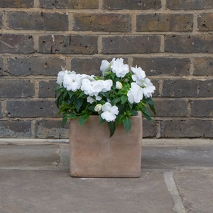 Antique Sand Handmade Cube Stone (D23cm x H23cm) Terracotta Outdoor Plant - image 3