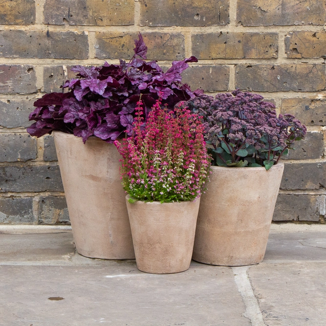 Antique Sand Handmade Cache Stone Planter (D16cm x H16cm) Outdoor Plant Pot - image 3