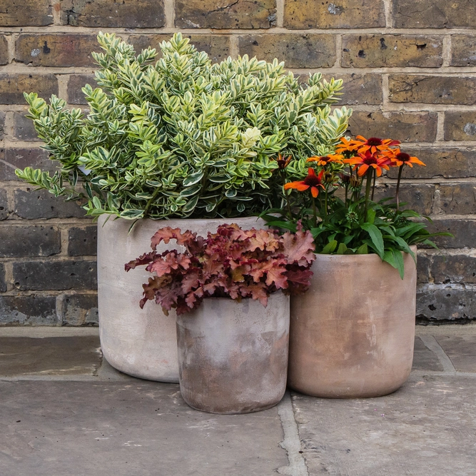 Antique Sand Handmade Cairo Cylinder Stone Planter (D20cm x H20cm) Outdoor Plant Pot - image 5