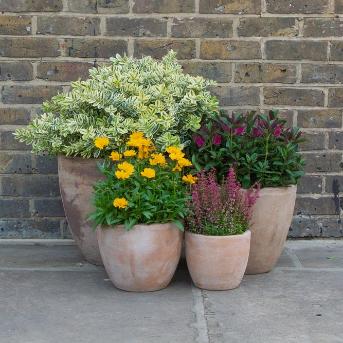 Antique Stone Handmade Egg Planter (D45cm x H36cm) Outdoor Plant Pot - image 5