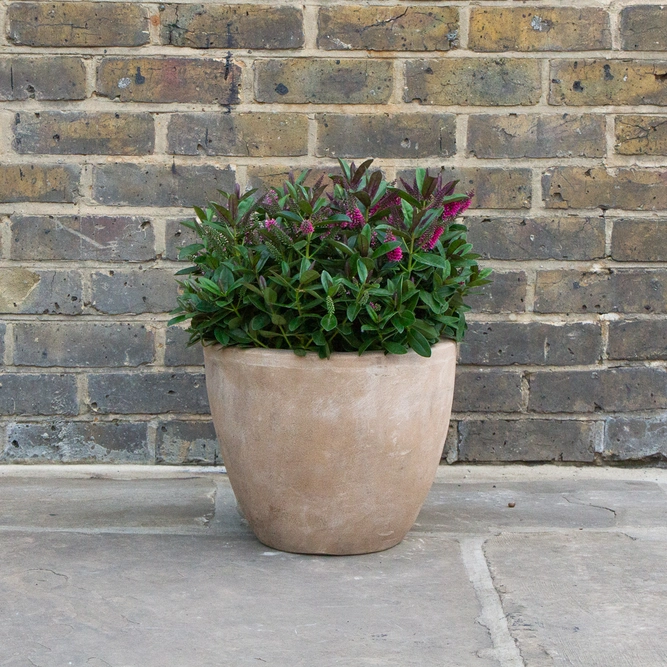 Antique Sand Handmade Egg Stone Planter (D35m x H28cm) Terracotta Outdoor Plant Pot - image 3