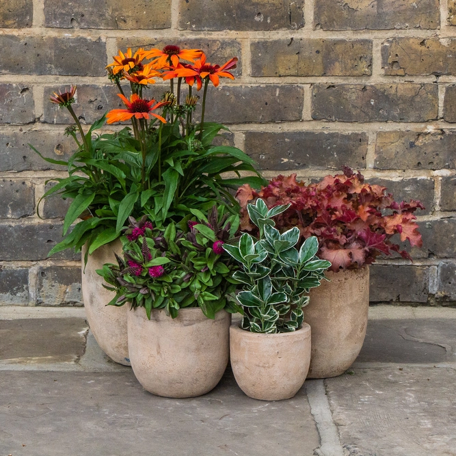 Antique Sand Handmade Egg Stone Planter (D12cm x H10cm) Terracotta Outdoor Plant Pot - image 5