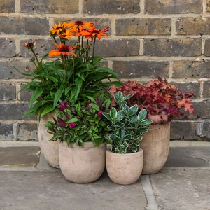 Antique Sand Handmade Egg Stone Planter (D12cm x H10cm) Terracotta Outdoor Plant Pot - image 5