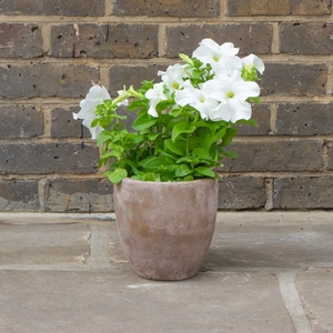 Antique Sand Handmade Lotus Stone Planter (D18cm x H18cm) Terracotta Outdoor Plant Pot - image 2