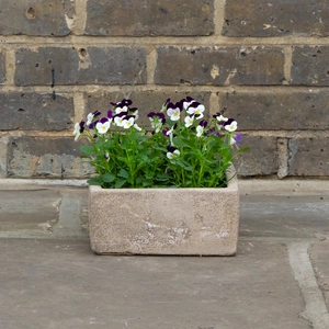 Antique Sand Handmade Low Square Stone Planter (D21cm x H10cm) Terracotta Outdoor Plant Pot - image 3