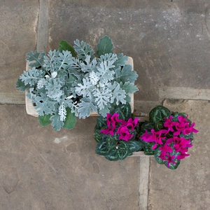 Antique Stone Handmade Trough Planter (D29 x W16 x H14cm) Outdoor Plant Pot - image 6