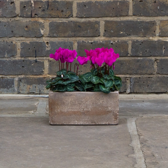 Antique Sand Handmade Trough Stone Planter (D24 x W11 x H12cm) Terracotta Outdoor Plant Pot - image 3