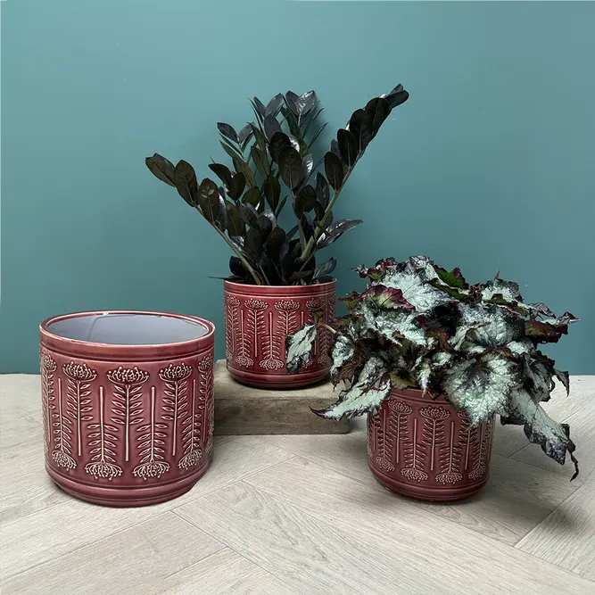 Berry Protea Pot (D18xH16cm) Berry Red Ceramic Plant Pot - image 2