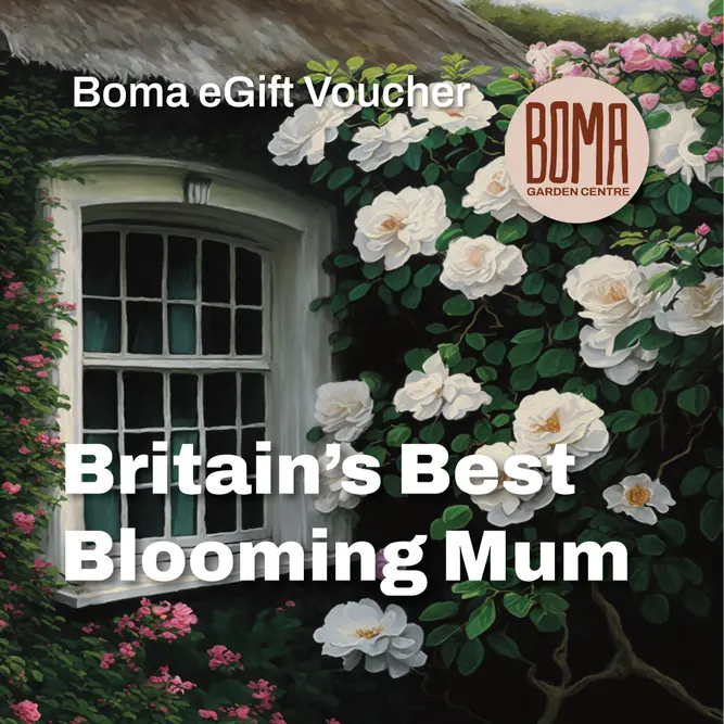 "Britain's Best Blooming Mum" eGift Voucher