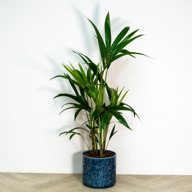 Ceramic Pot Blue Trailing Blooms (D13.5cm) Indoor Plant Pot - image 2