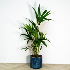 Ceramic Pot Blue Trailing Blooms (D13.5cm) Indoor Plant Pot - image 2