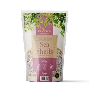 Chelsea Sea Shells Pouch