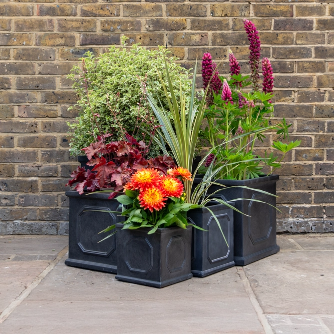 Chelsea Square Planter (L22xH22xD22cm) Fibreclay Square Outdoor Planters - image 2