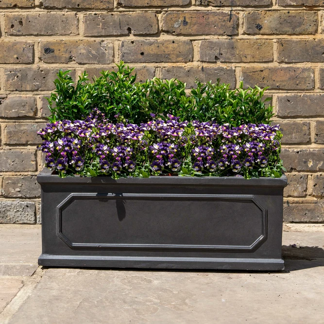 Chelsea Trough Planter (L50xH17xD16cm) Fibreclay Trough Outdoor Planters - image 2