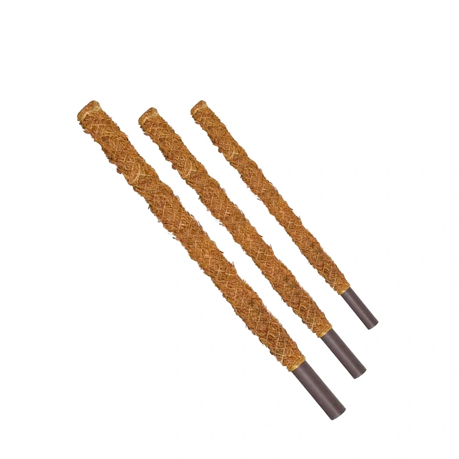Coir Plant Climbing Pole (70cm) Moss Plant Pole - image 3