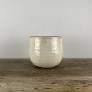 Como Ivory (D12cm x H14cm) Indoor Plant Pot Cover - image 3