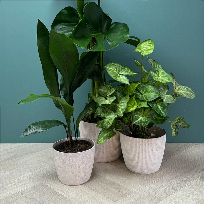 Copa Plastic Indoor Plant Pot Cover - White (Pot Size 16cm) - image 3