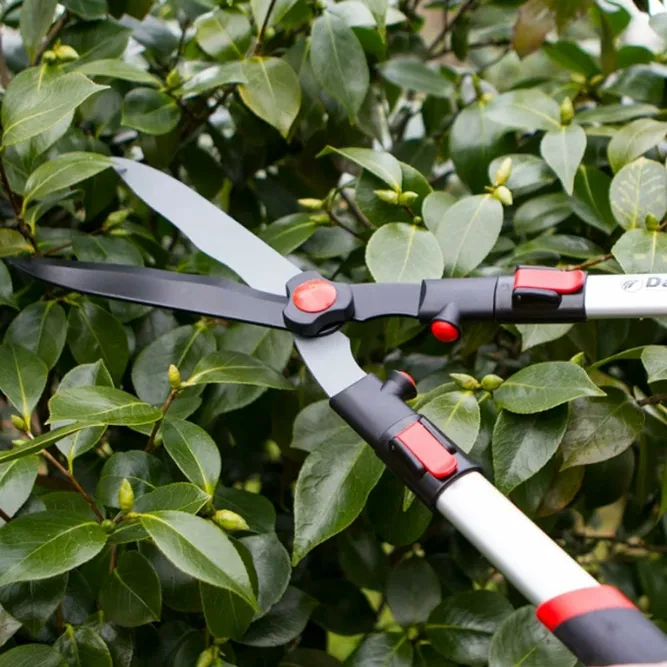 Darlac Telescopic Hedge Shear - Extendable Handles - image 2