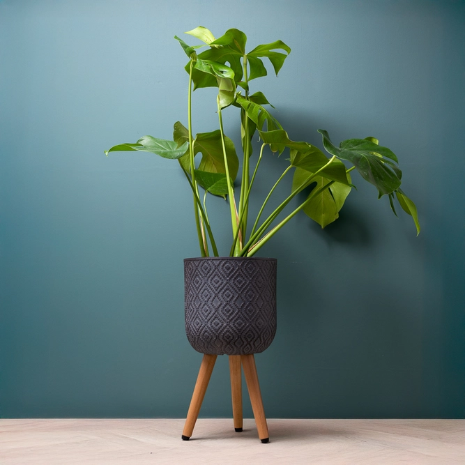 Diamond Pot on Legs Grey (D30cm x H52cm) Multi-use Indoor Plant Pot Cover On Legs - image 2