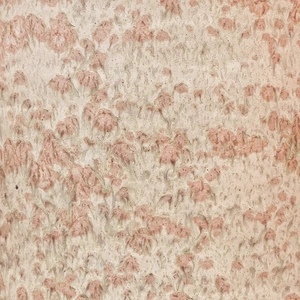 Dorian Cream Ceramic Plant Pot (D21cm) - image 2