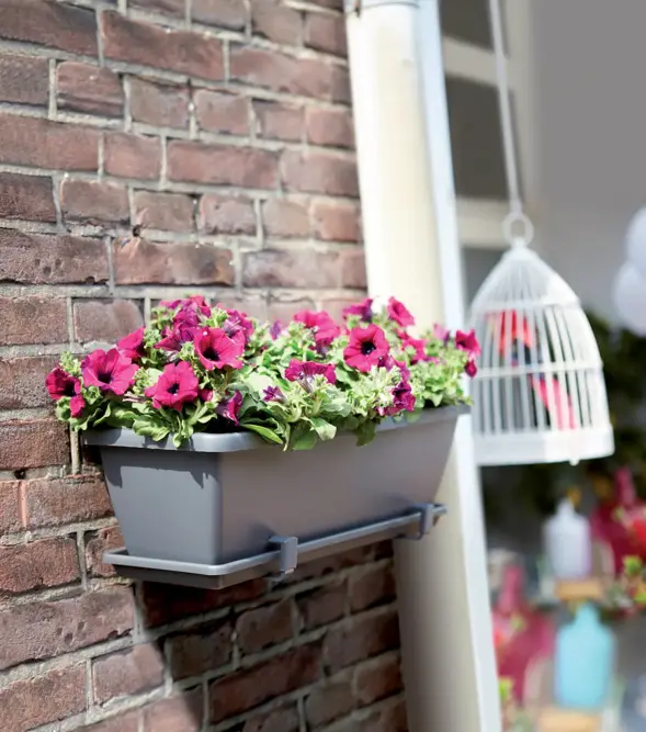 Elho Barcelona 50cm Anthracite Trough Planter – Eco-Friendly Plastic - image 5