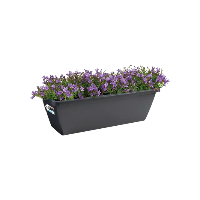 Elho Barcelona 50cm Anthracite Trough Planter – Eco-Friendly Plastic - image 2