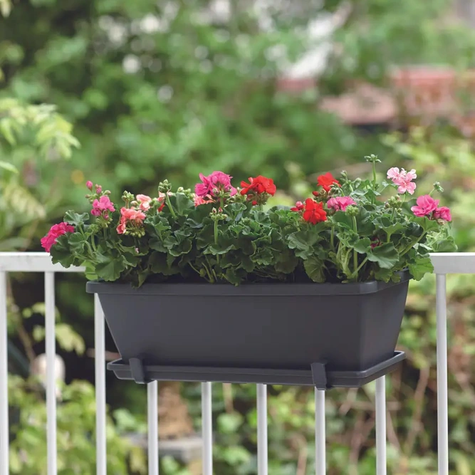 Elho Barcelona 50cm Anthracite Trough Planter – Eco-Friendly Plastic - image 3