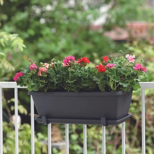 Elho Barcelona 50cm Anthracite Trough Planter – Eco-Friendly Plastic - image 3