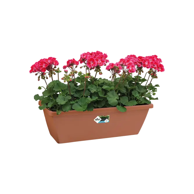Elho Barcelona 40cm Terra Trough Planter – Eco-Friendly Plastic - image 3
