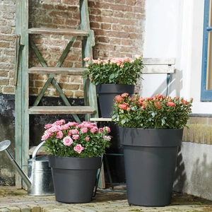 Elho Basics Top Planter 23cm - image 3