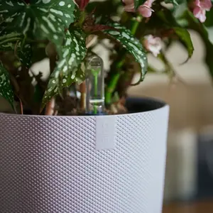 Elho Jazz Lavender Lilac (Pot Size 19cm) Eco-Plastic Indoor Plant Pot Cover - image 3