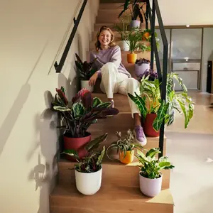 Elho Jazz Silky White (Pot Size 19cm) Eco-Plastic Indoor Plant Pot Cover - image 7