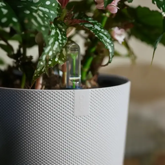 Elho Jazz Silky White (Pot Size 19cm) Eco-Plastic Indoor Plant Pot Cover - image 3