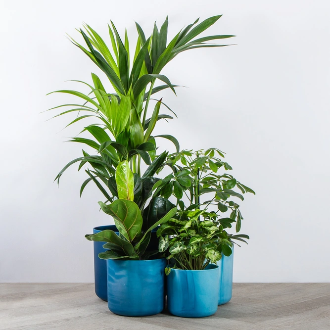 Elho Ocean Collection Blue (Pot Size 22cm) Indoor Plant Pot Cover - image 5