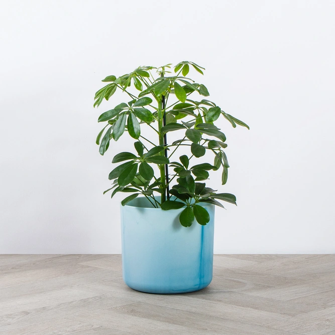 Elho Ocean Collection Blue (Pot Size 18cm) Indoor Plant Pot Cover - image 3
