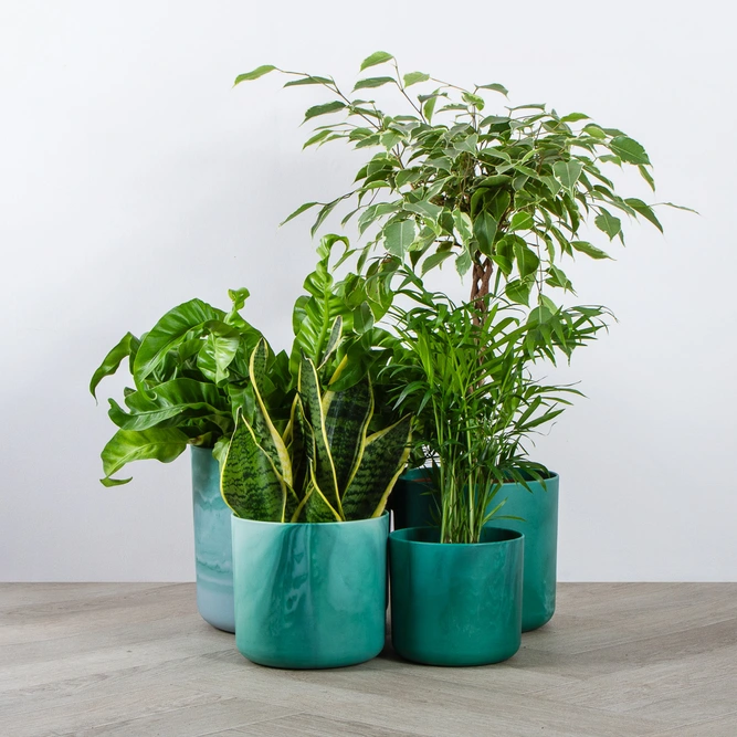 Elho Ocean Collection Green (Pot Size 22cm) Indoor Plant Pot Cover - image 1