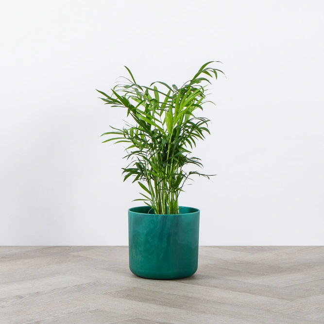 Elho Ocean Collection Green (Pot Size 22cm) Indoor Plant Pot Cover - image 10