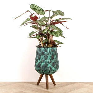 Emir Cauldron Legged Pot MEDIUM - image 3