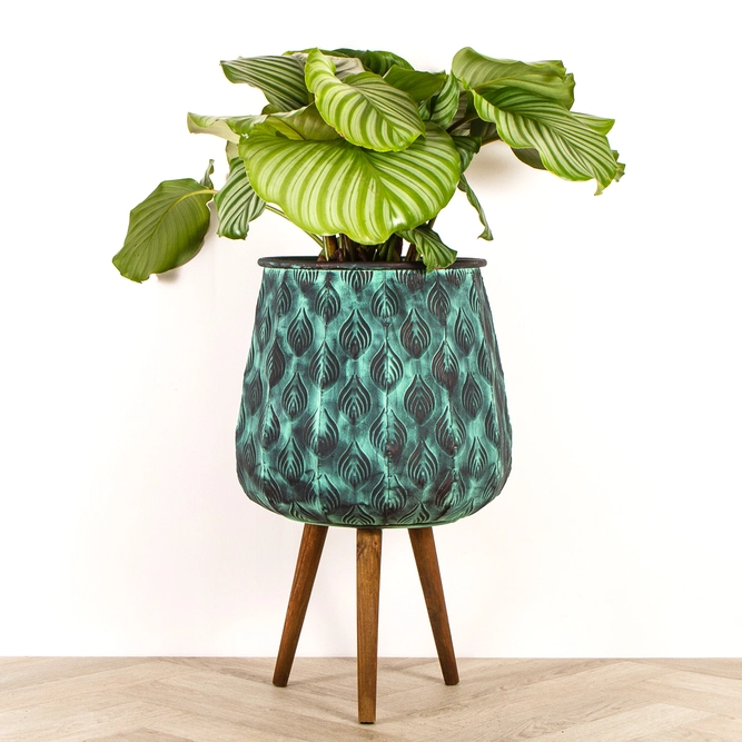 Emir Cauldron Legged Pot LARGE - image 3