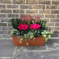 Festive Winter Planters