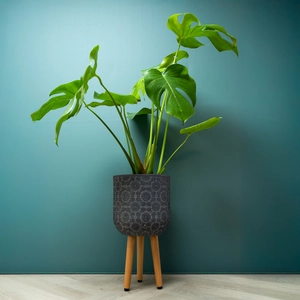 Flower Pot on Legs Grey (D30cm x H52cm) Multi-use Indoor Plant Pot Cover On Legs - image 3